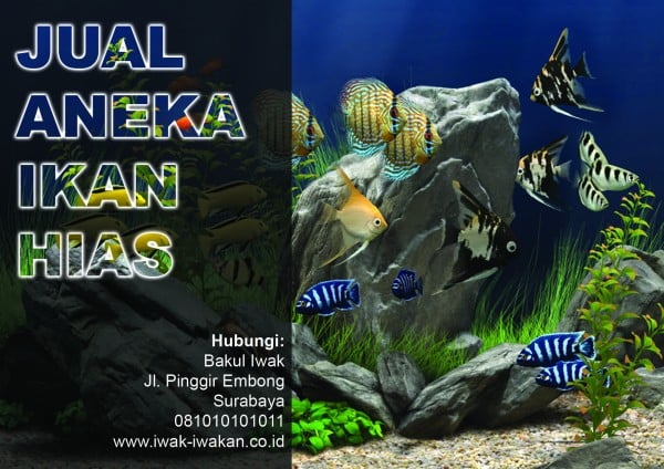 620 Kolase Ikan Hias HD Terbaik