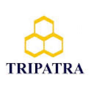 Hasil gambar untuk PT. Tripatra Engineering
